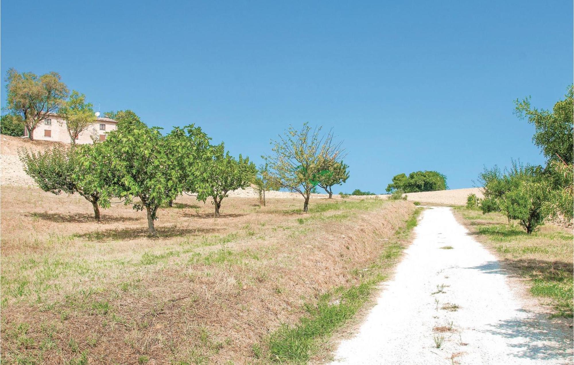 Strada Dei Condotti Pesaro Exterior foto