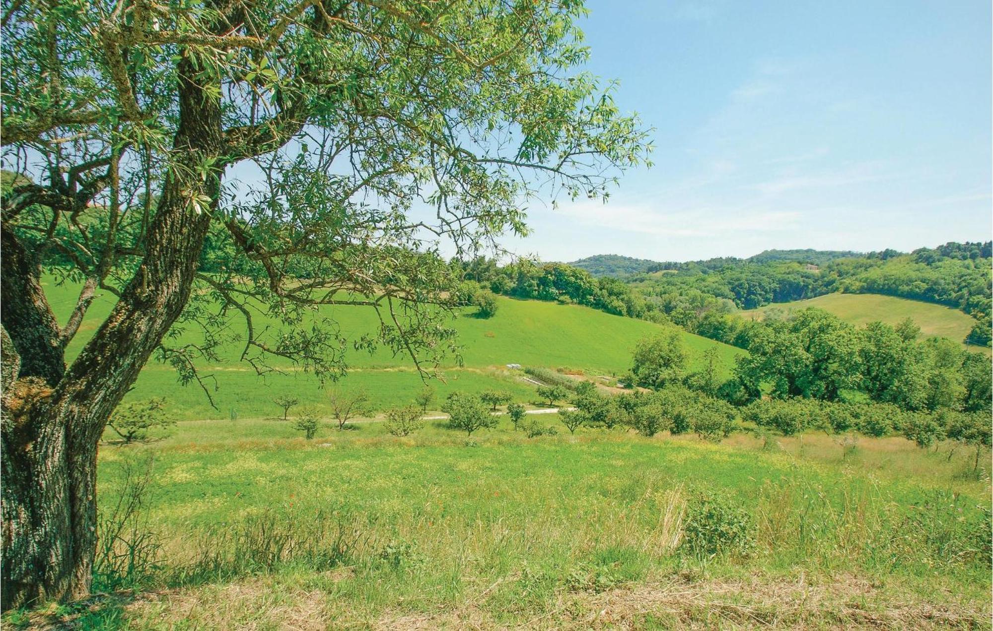 Strada Dei Condotti Pesaro Exterior foto